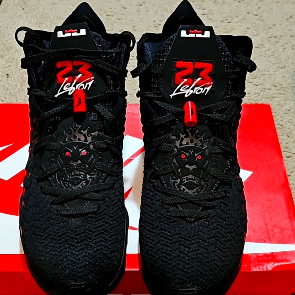 Nike lebron 17